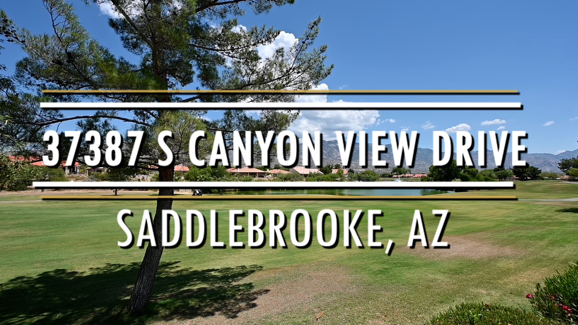 Quick & Easy All Homes for Sale SADDLEBROOKE AZ The Nara Brown Team